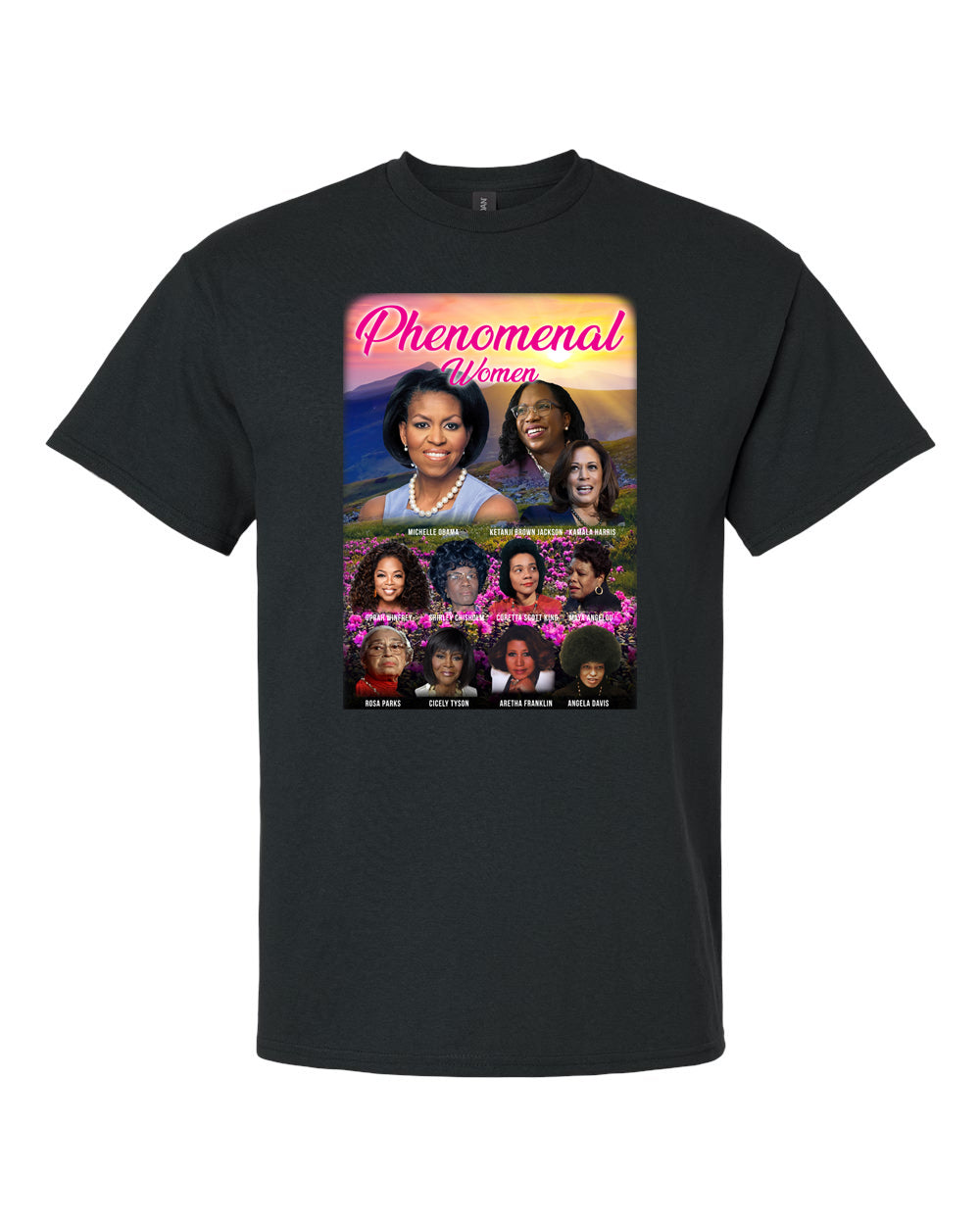 phenomenal womens rights black history t-shirt urban apparel blm